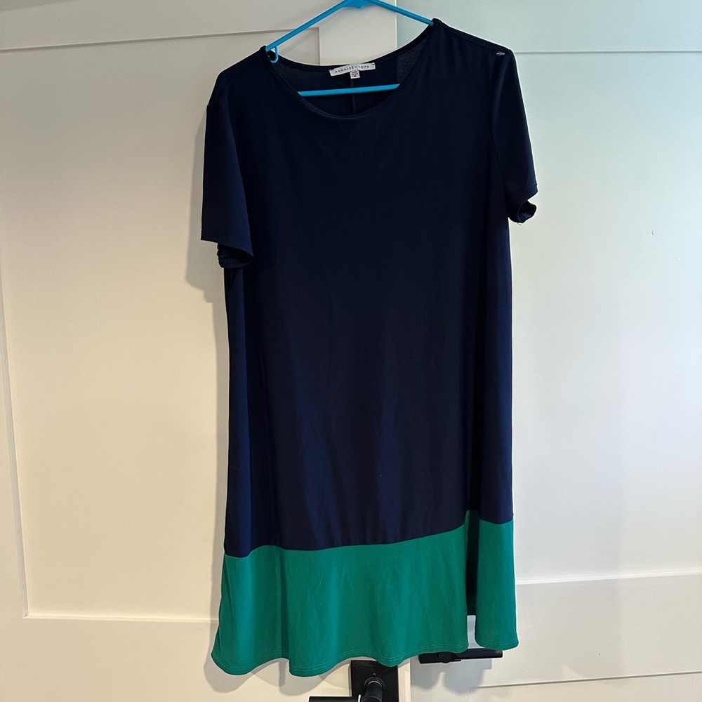 Navy and green shift dress.